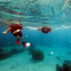 Zanzibar snorkelling volunteer
