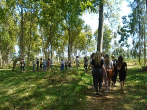 Zanzibar spice farm tour